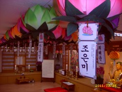 [도선스님] 금강사 대웅전에 연꽃등 달기(평생)